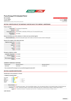 E10 Safety Data Sheet