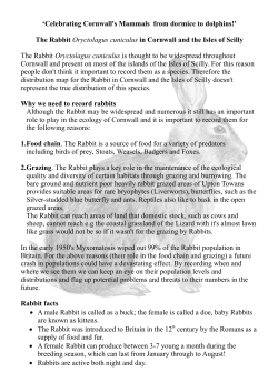 the ERCCIS identification guide to Rabbit and Hare of