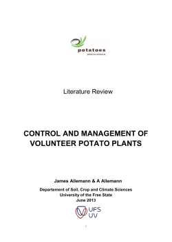 control and management of volunteer potato plants