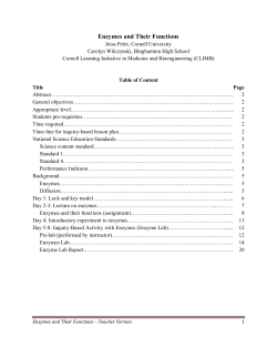 Lesson Plan Enzymes - teacher version - CLIMB