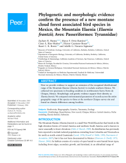 Phylogenetic and morphologic evidence confirm the