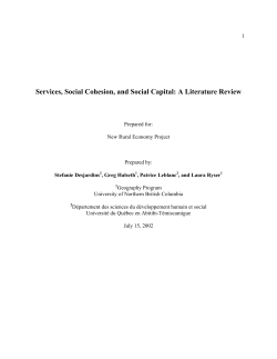 Services, Social Cohesion, And Social Capital: A