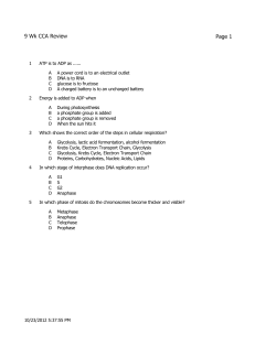 Question Report - Net Start Class