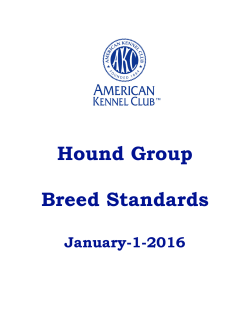 Hound Group Breed Standards