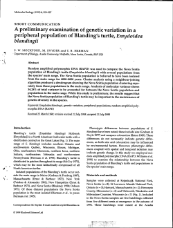 A preliminary examination of geneti~ variation in a