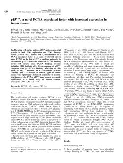 p15PAF, a novel PCNA associated factor with increased