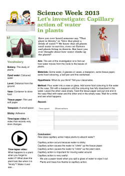 Capillary Action Experiment