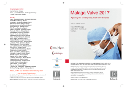 Malaga Valve 2017