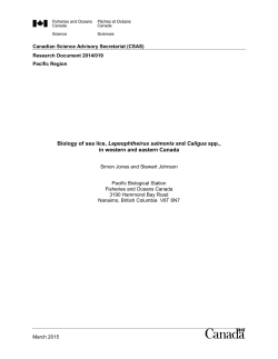 Sea lice monitoring and non-chemical measures A: Biology of sea