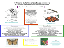 Moths and Butterflies of Southwest Minnesota By