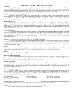 How To Care For Your Female Dog After Surgery