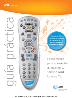 Gu&iacute;a Pr&aacute;ctica