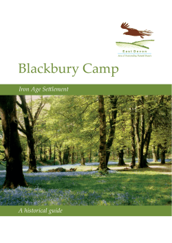 Blackbury Camp - East Devon AONB