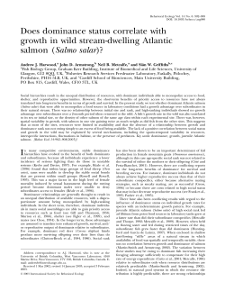 Does dominance status correlate with growth in wild stream