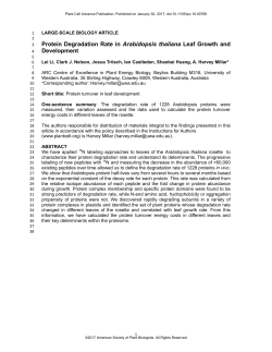 Protein Degradation Rate in Arabidopsis thaliana