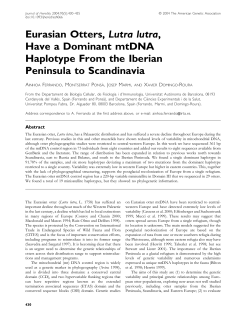 Eurasian Otters, Lutra lutra, Have a Dominant mtDNA Haplotype