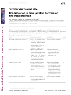 Denitrification in Gram-positive bacteria: an underexplored trait