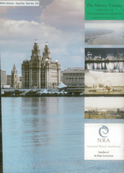 Display PDF in separate tab