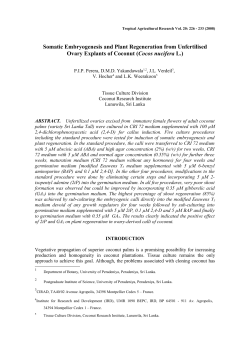 Flow cytometric analysis of the cell cycle in different coconut palm