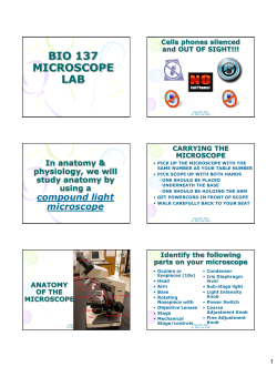 BIO 137 MICROSCOPE LAB