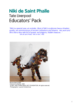 Niki de Saint Phalle teachers` pack