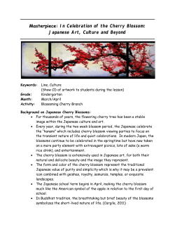 Masterpiece: In Celebration of the Cherry Blossom: Japanese Art