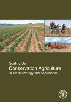 Scaling-up Conservation Agriculture in Africa: Strategy and