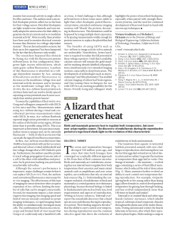 A lizard that generates heat
