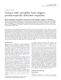 Contact with caterpillar hairs triggers predator