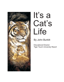 It`s a Cat`s Life