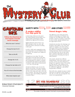 Safety with Birds, Bees, and Other Beasts