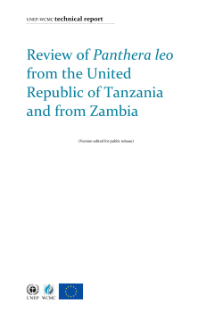 Review of Panthera leo from the United Republic of Tanzania and
