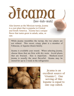 Jicama is an excellent source of Vitamin C. One serving of this