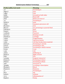 Skeletal System Medical Terminology KEY Prefix/suffix/root word
