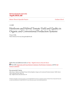 Heirloom and Hybrid Tomato Yield and Quality in