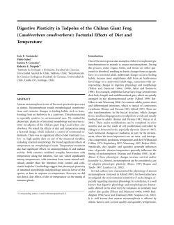 Digestive Plasticity in Tadpoles of the Chilean Giant Frog