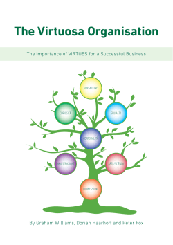 The Virtuosa Organisation