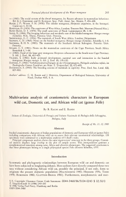 Zeitschrift f&uuml;r S&auml;ugetierkunde : im Auftrage der Deutschen