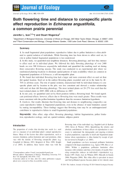 Both flowering time and distance to conspecific plants affect