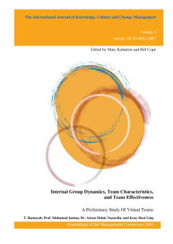 Internal Group Dynamics, Team Characteristics