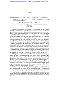 OBSERVATIONS . ON THE PROTOZOA OF MAN