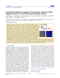 PDF w - Rogers Research Group