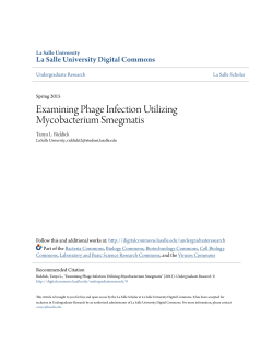 Examining Phage Infection Utilizing Mycobacterium Smegmatis