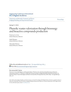 Phenolic wastes valorization through bioenergy and bioactive