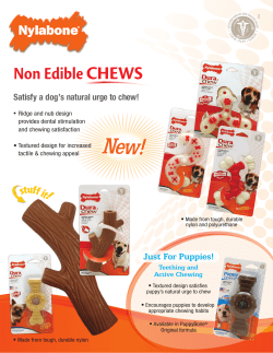 Non Edible CHEWS
