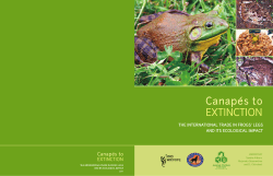 Canapés to ExtinCtion: thE intErnational tradE in frogs` lEgs and its
