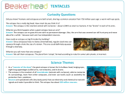 tentacles - Beakerhead