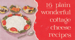16 plain wonderful cottage cheese recipes