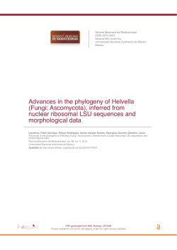 Advances in the phylogeny of Helvella (Fungi: Ascomycota), inferred