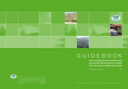 Guidebook for the formulation of afforestation and reforestation